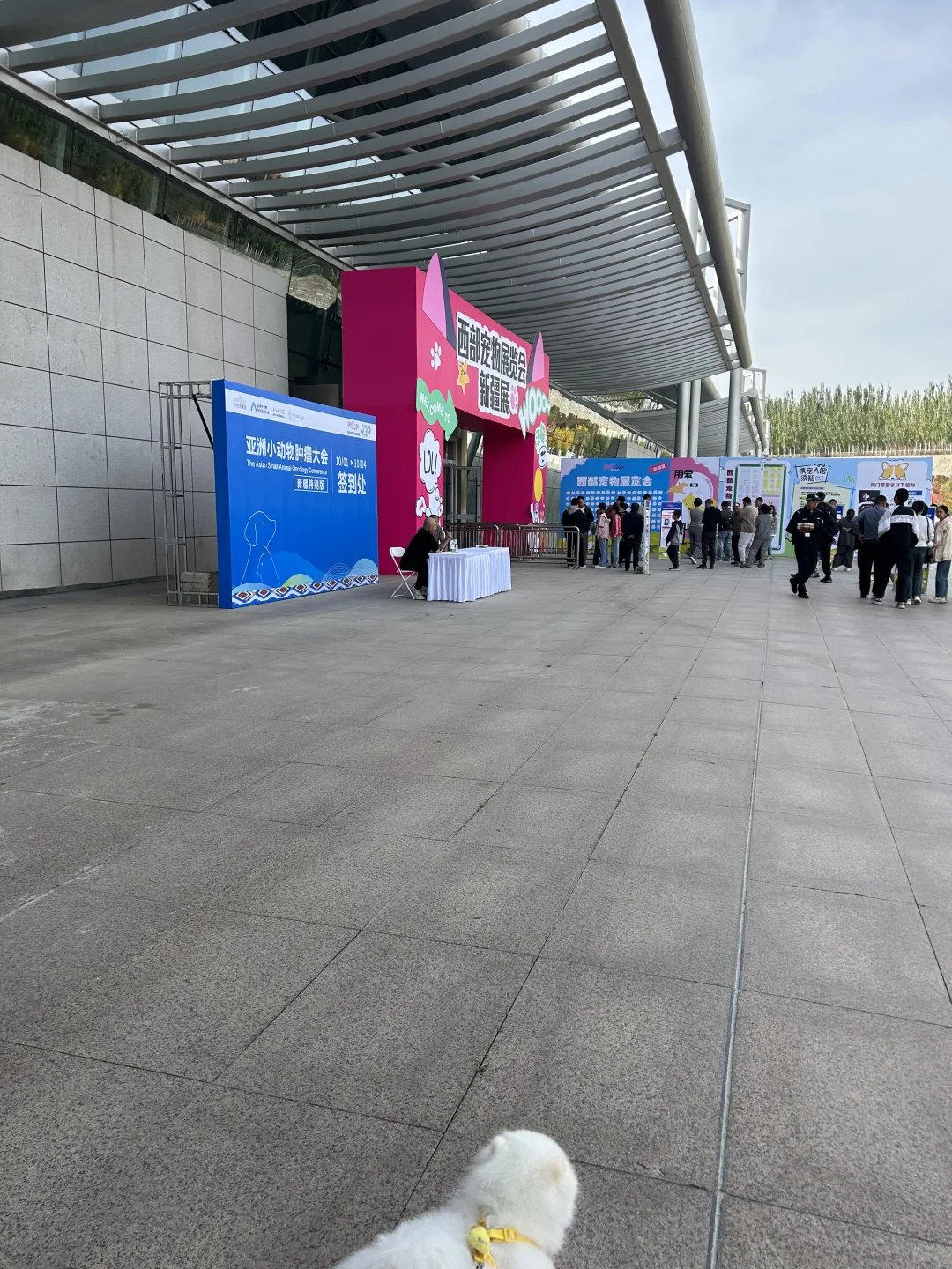 会展中心宠物展不用去，不用去