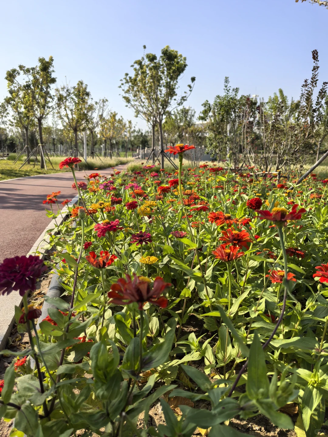 骑行打卡国家会展中心生态公园2025/9/10