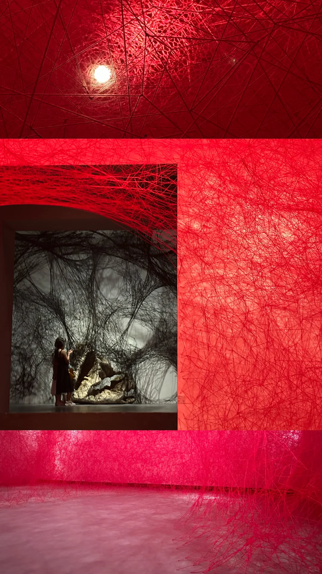 ?今年最喜欢的当代艺术展