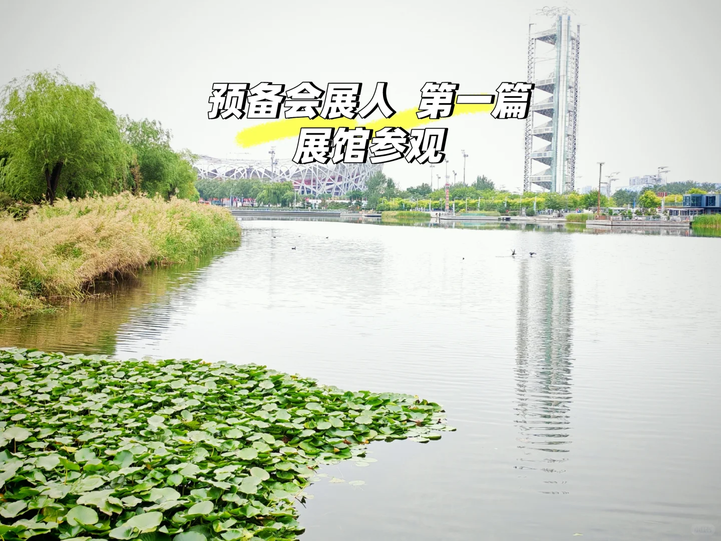 预备会展人第一篇