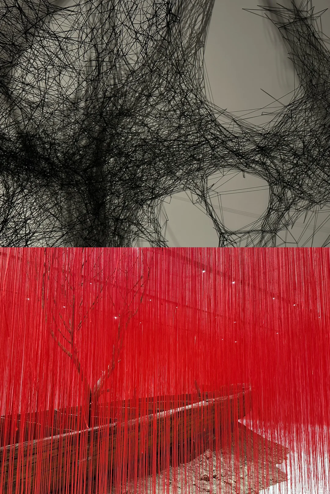 ?今年最喜欢的当代艺术展