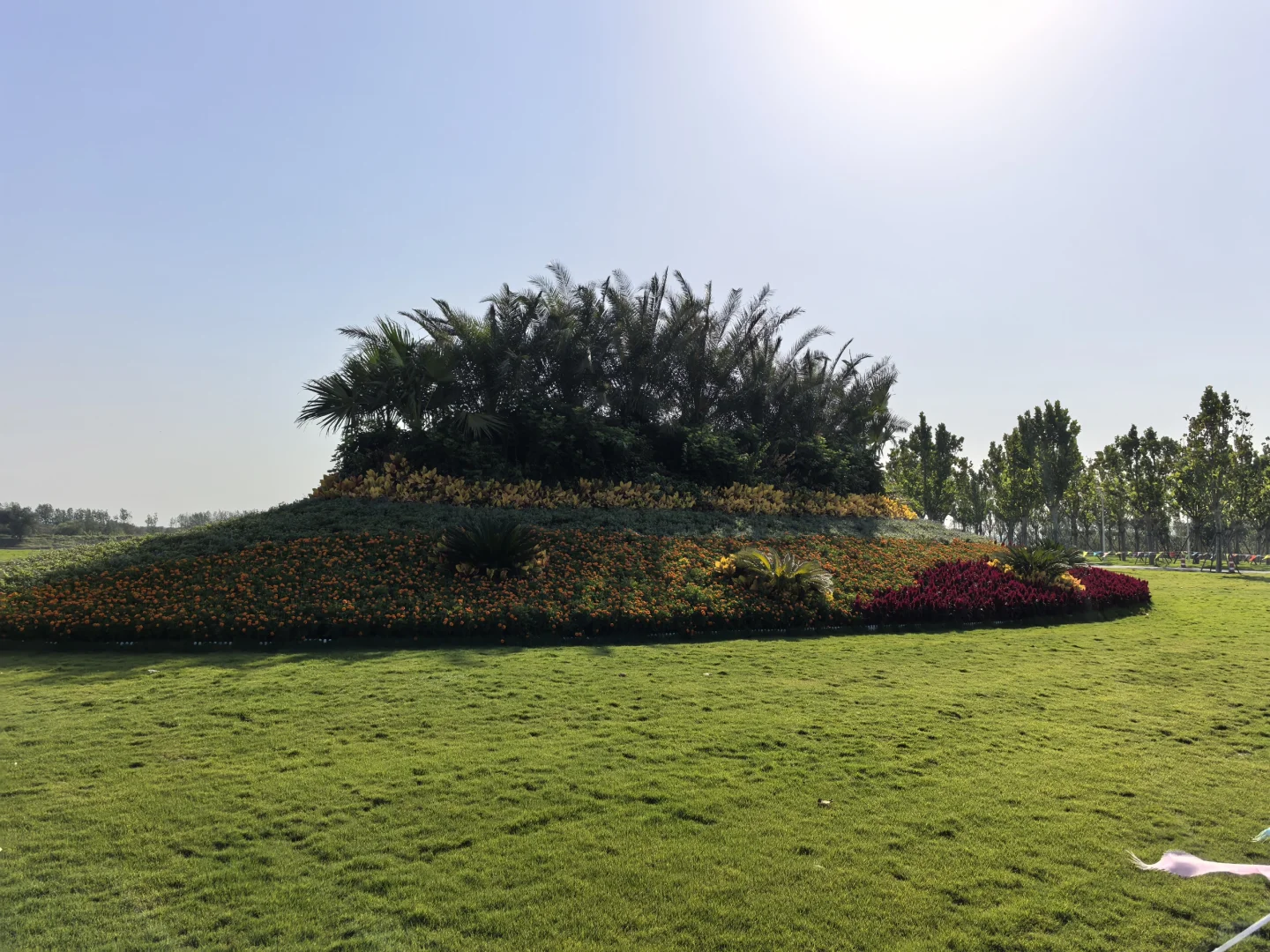 骑行打卡国家会展中心生态公园2025/9/10