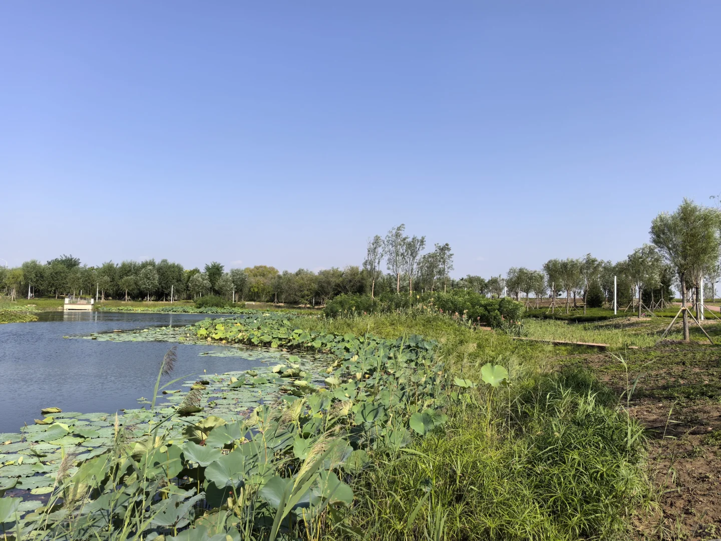 骑行打卡国家会展中心生态公园2025/9/10