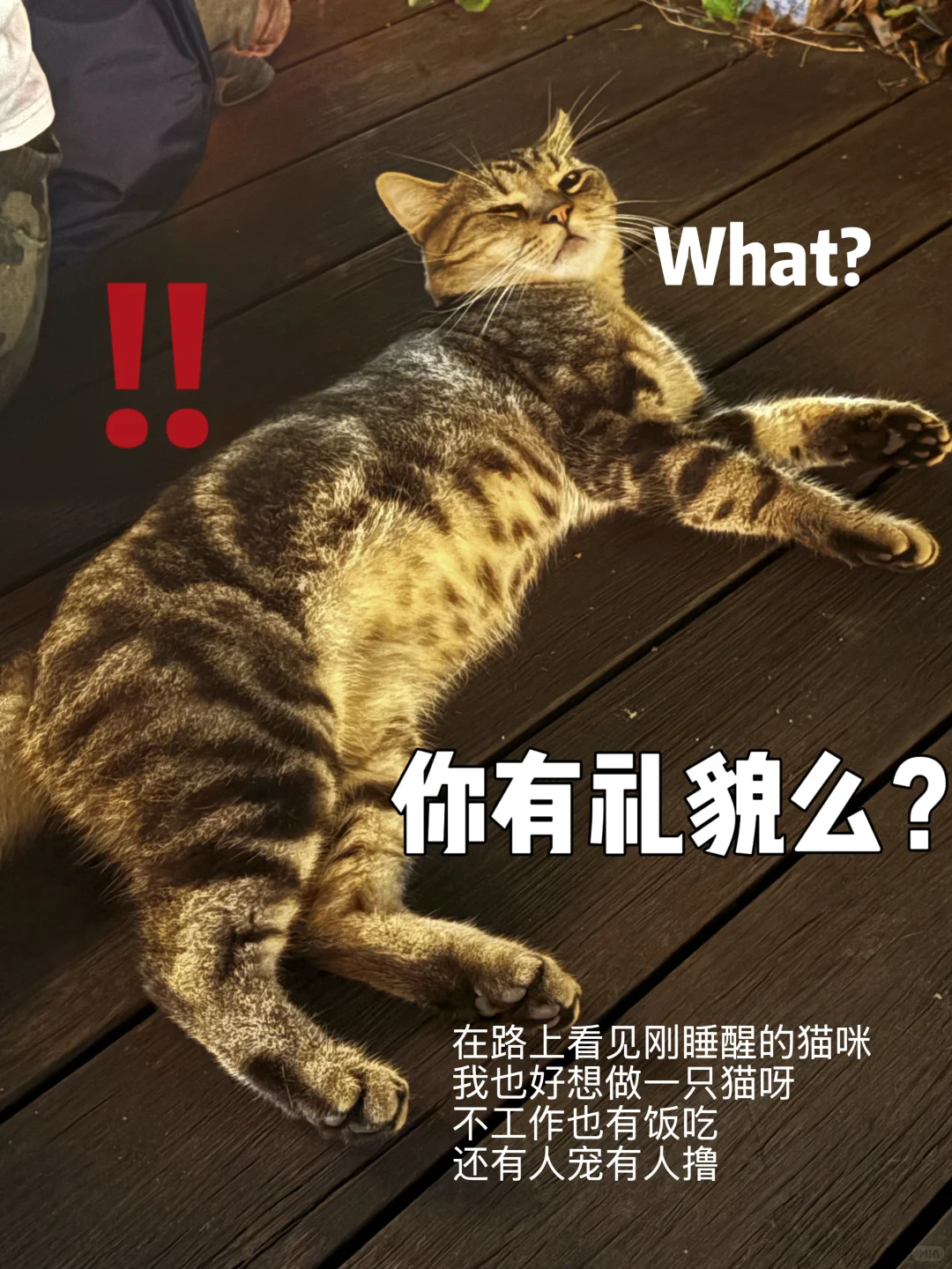 30岁深漂教师 已裸辞两个月