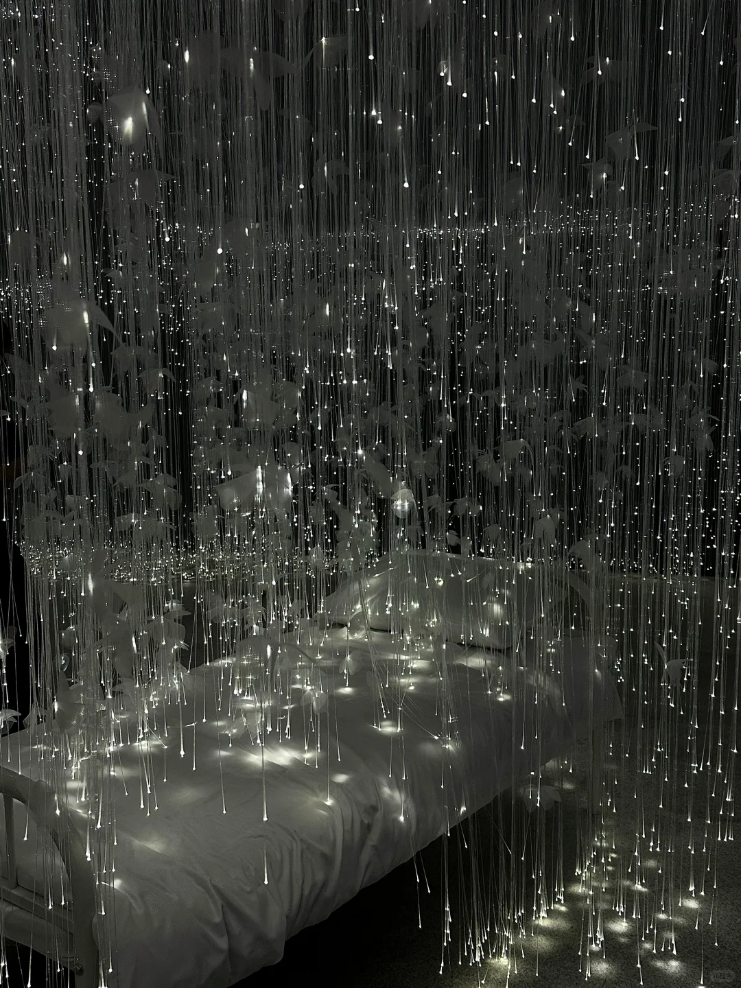 ?今年最喜欢的当代艺术展