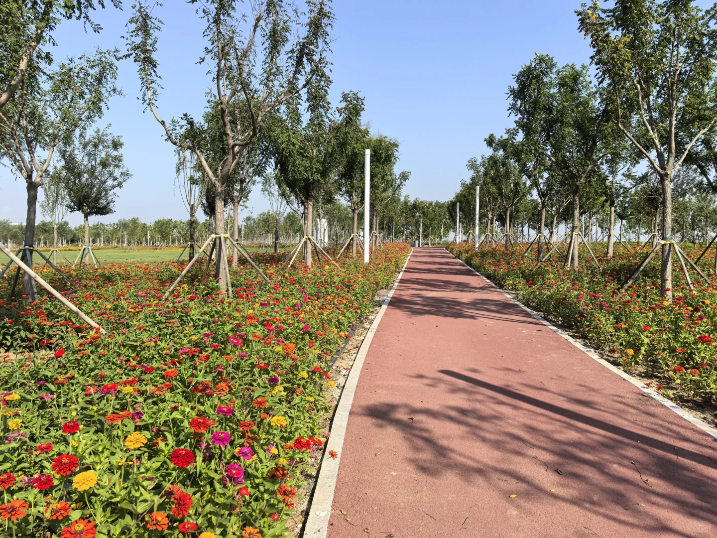 骑行打卡国家会展中心生态公园2025/9/10