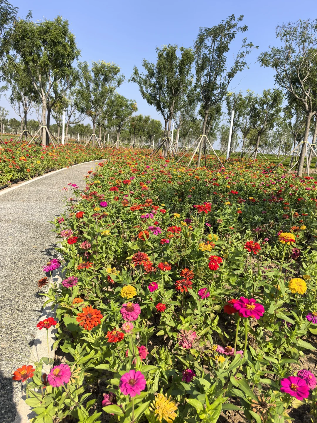 骑行打卡国家会展中心生态公园2025/9/10