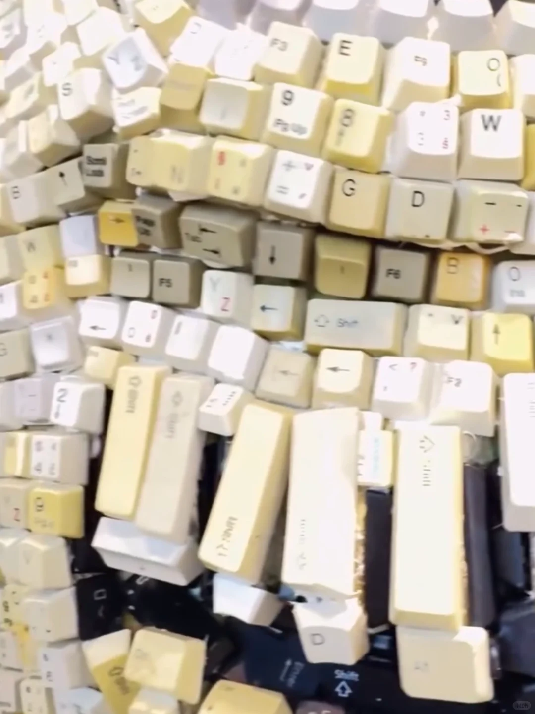 ??法兰克福国际艺术博览会 免费门票开售