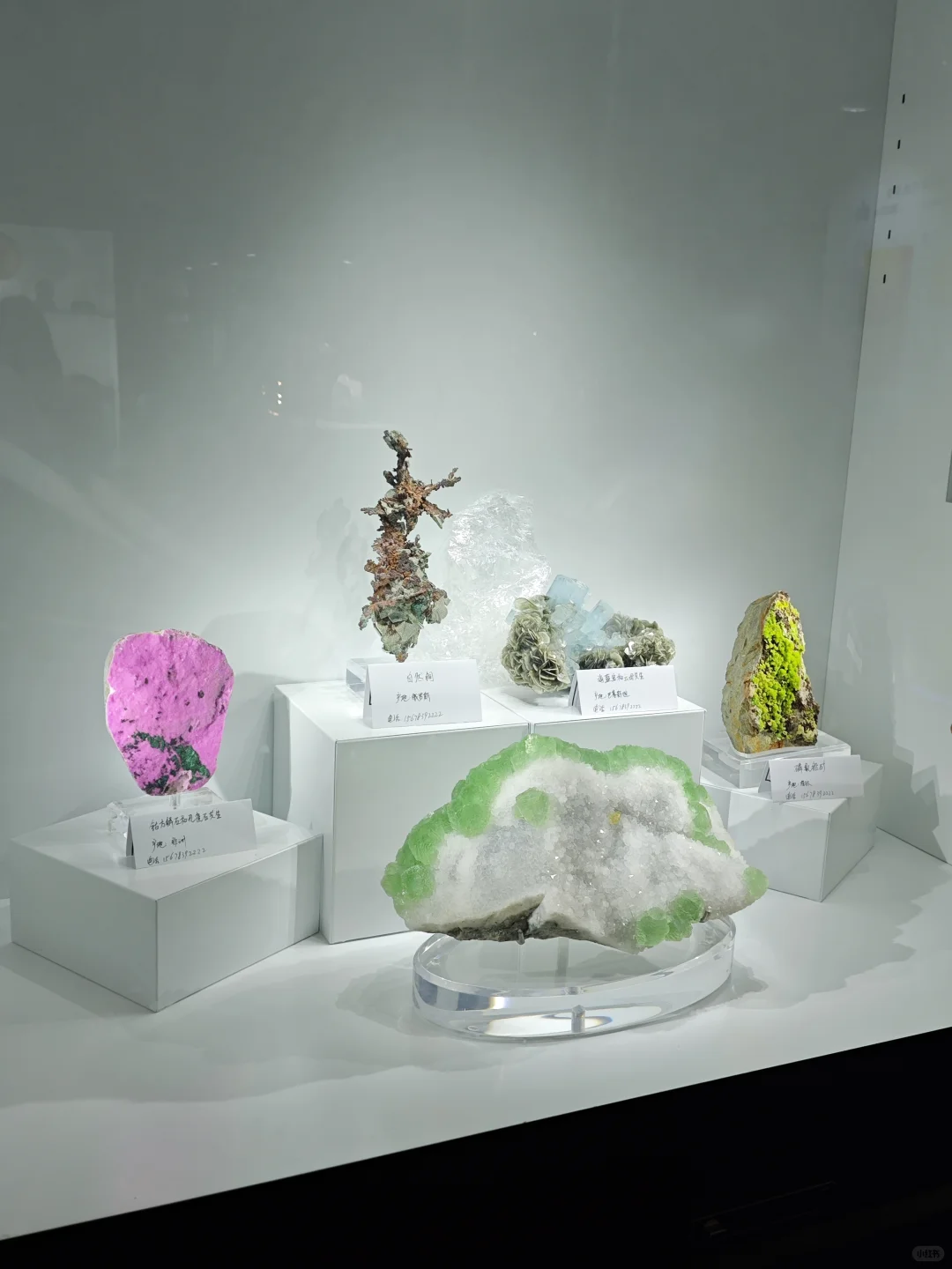 22届东盟博览会，逛都不逛不完