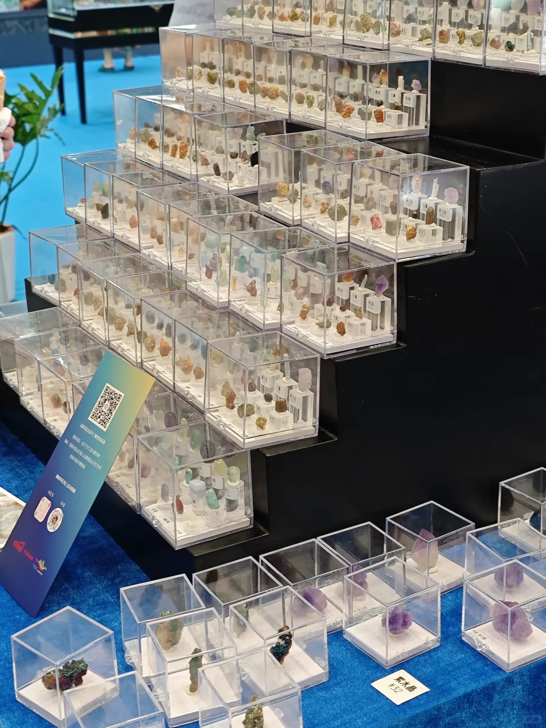 22届东盟博览会，逛都不逛不完