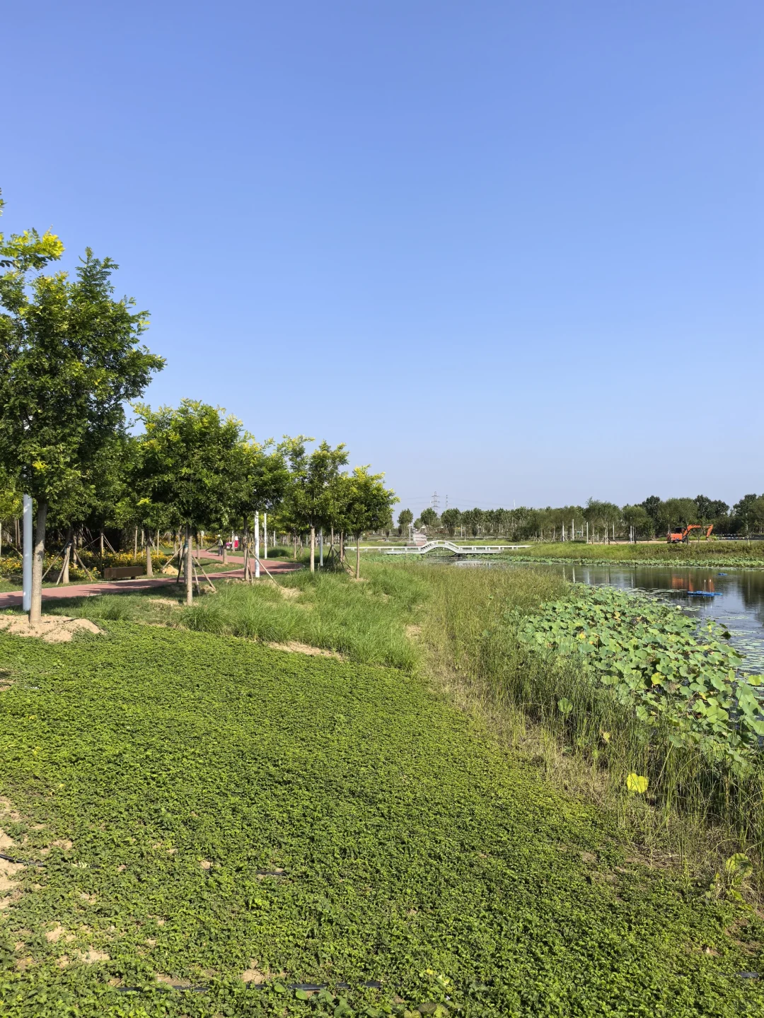 骑行打卡国家会展中心生态公园2025/9/10