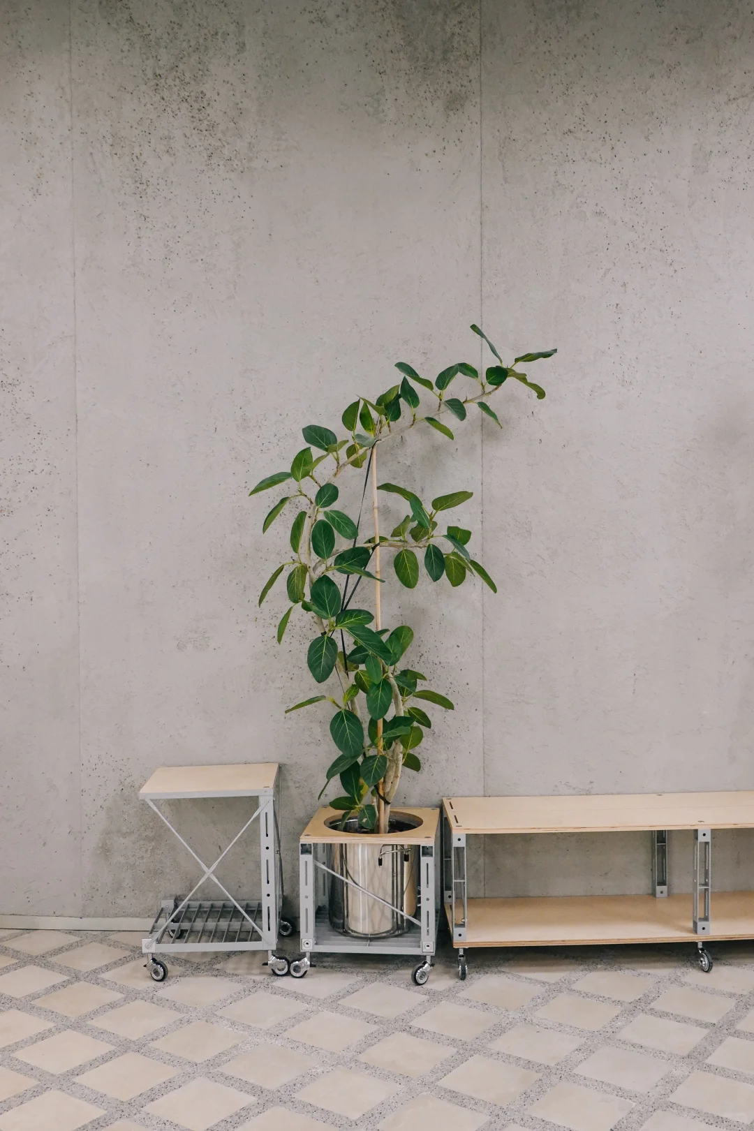 重庆|有好容器,才有好内容