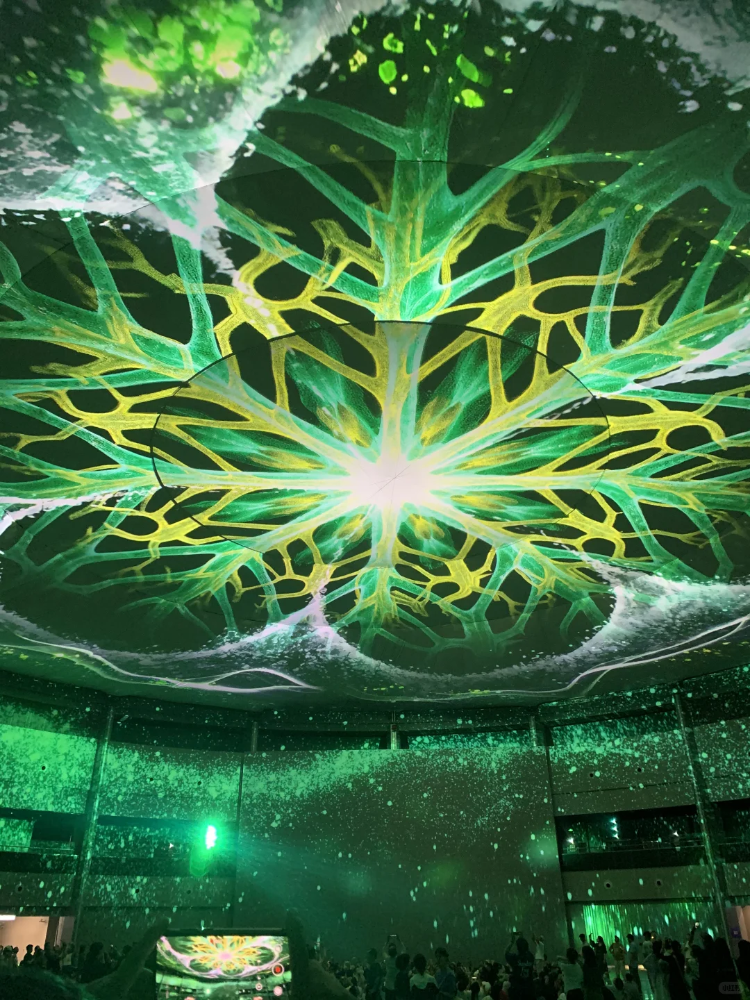 2025上海光影节|西岸梦中心超值的20分钟❤️