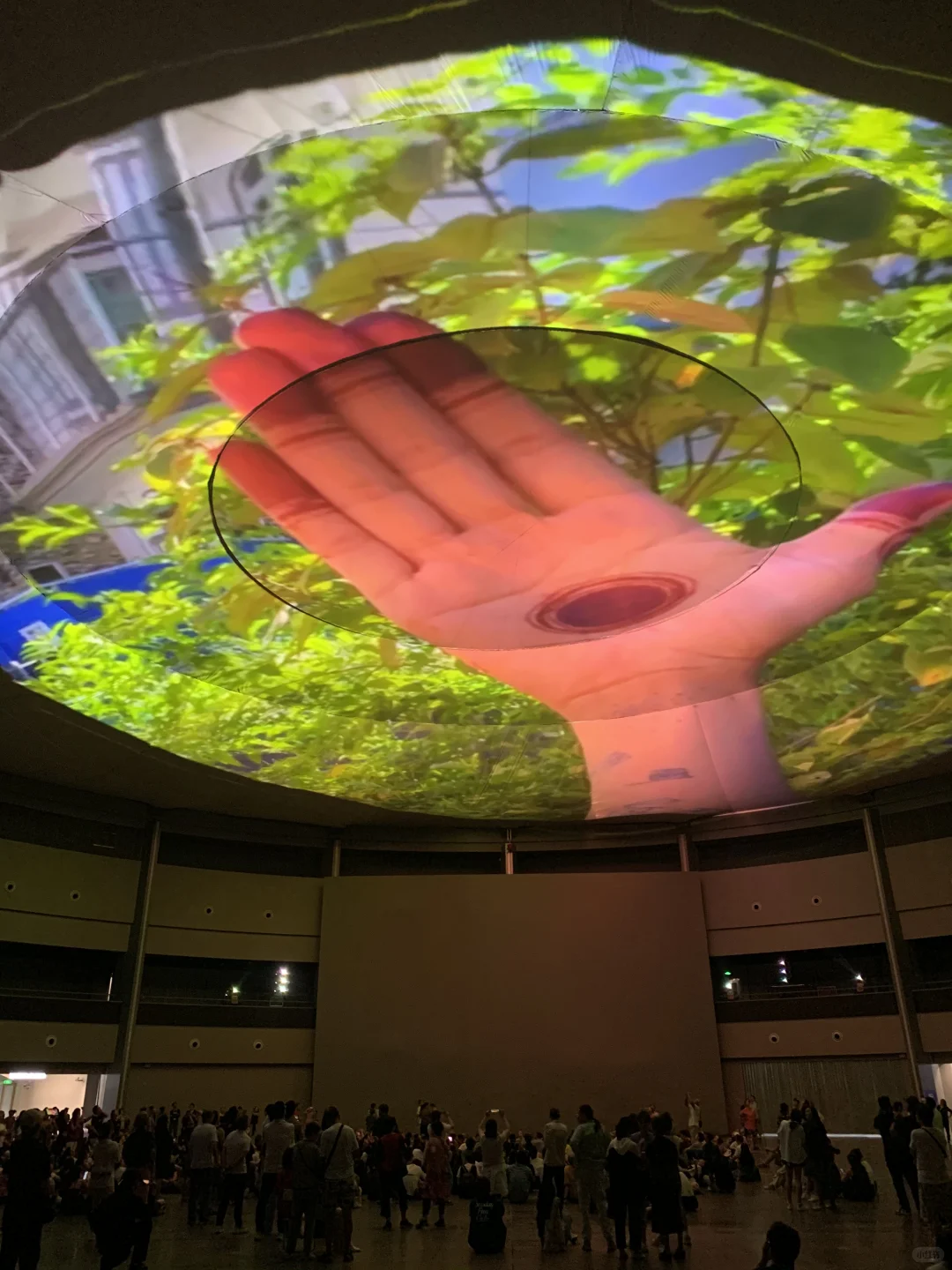 2025上海光影节|西岸梦中心超值的20分钟❤️