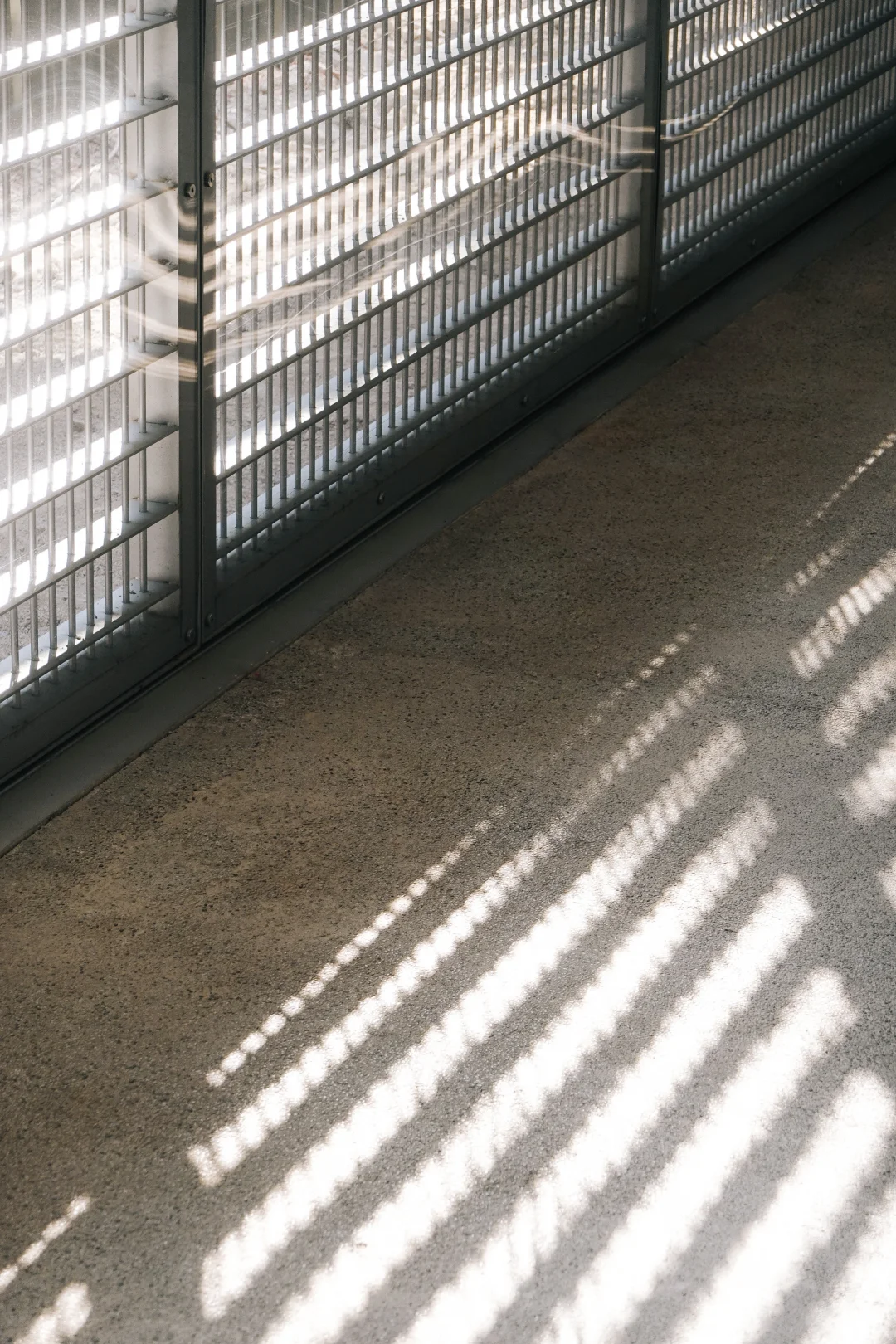 重庆|有好容器,才有好内容