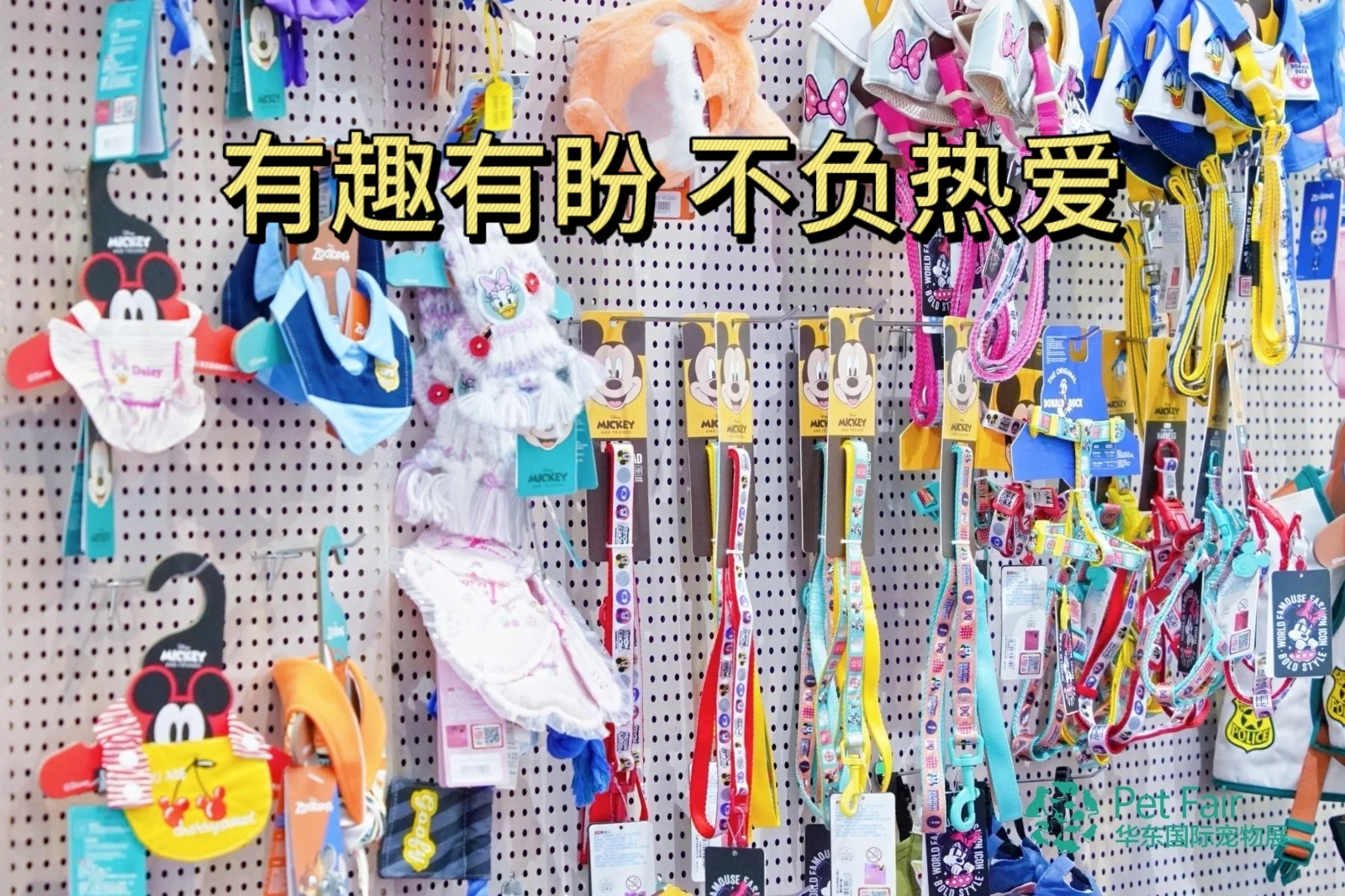 【毛孩子狂欢季】第六届华东宠物展