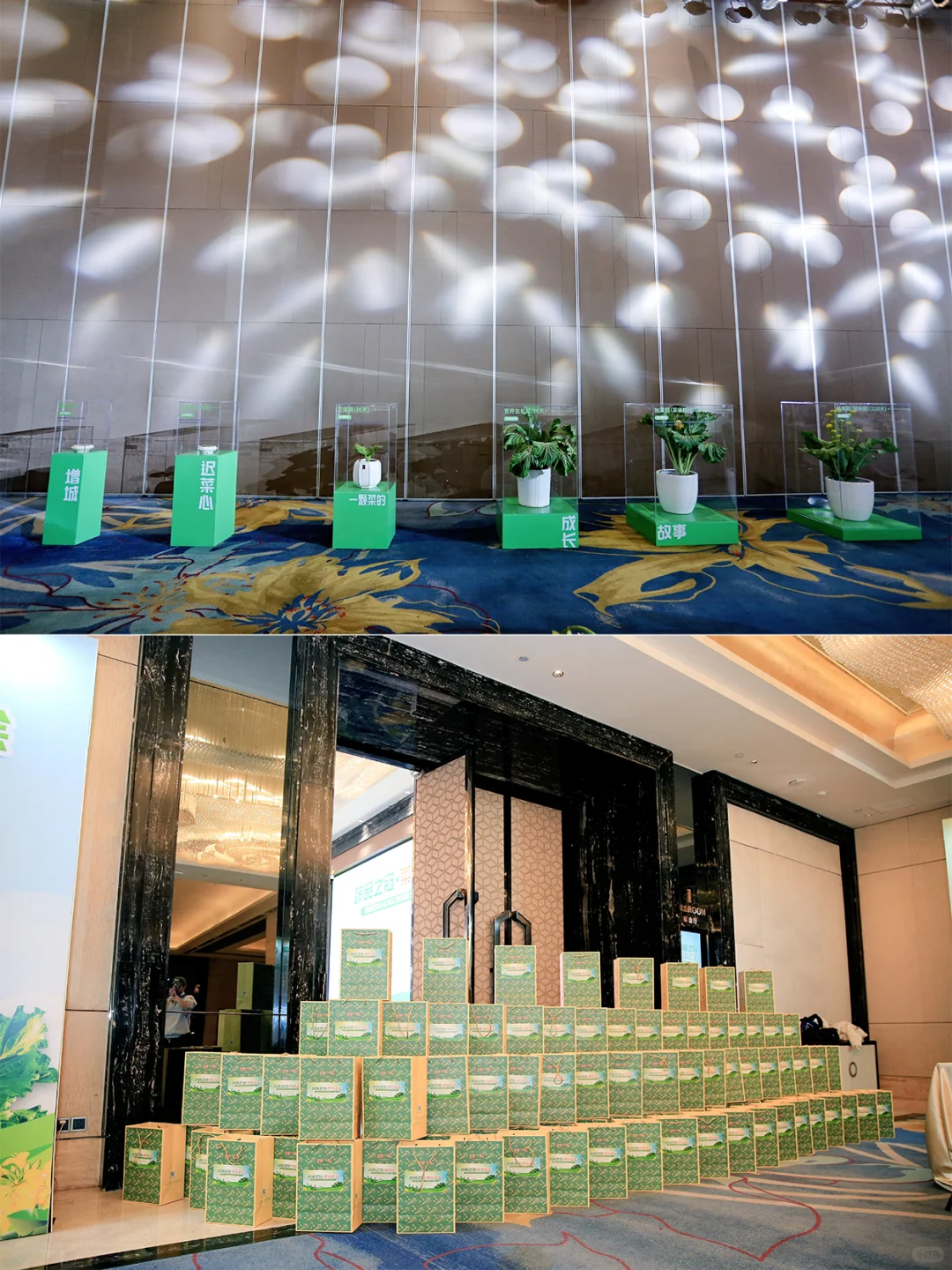 活动策划｜破解出圈的一场推介会