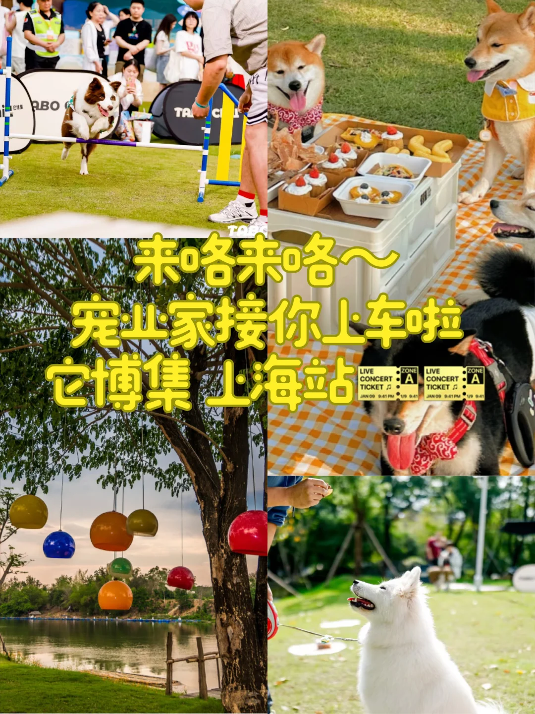 ? 它博集上海站即将开始 老规矩?*5