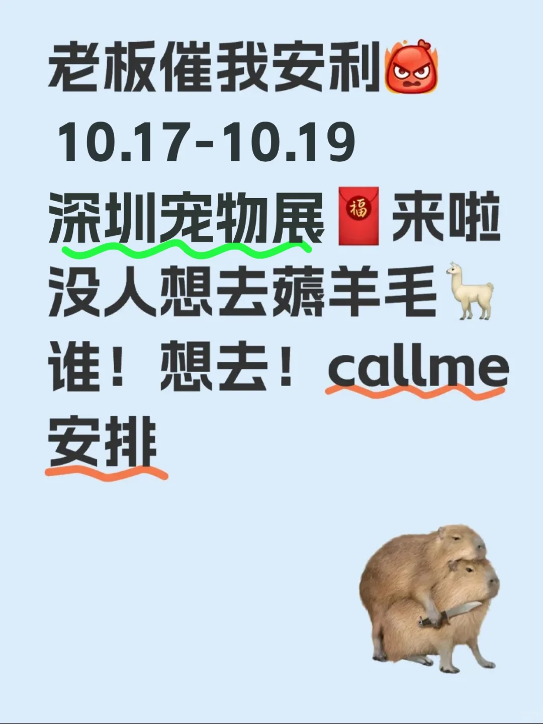 10.17深圳宠物展！自备超大麻袋喔～