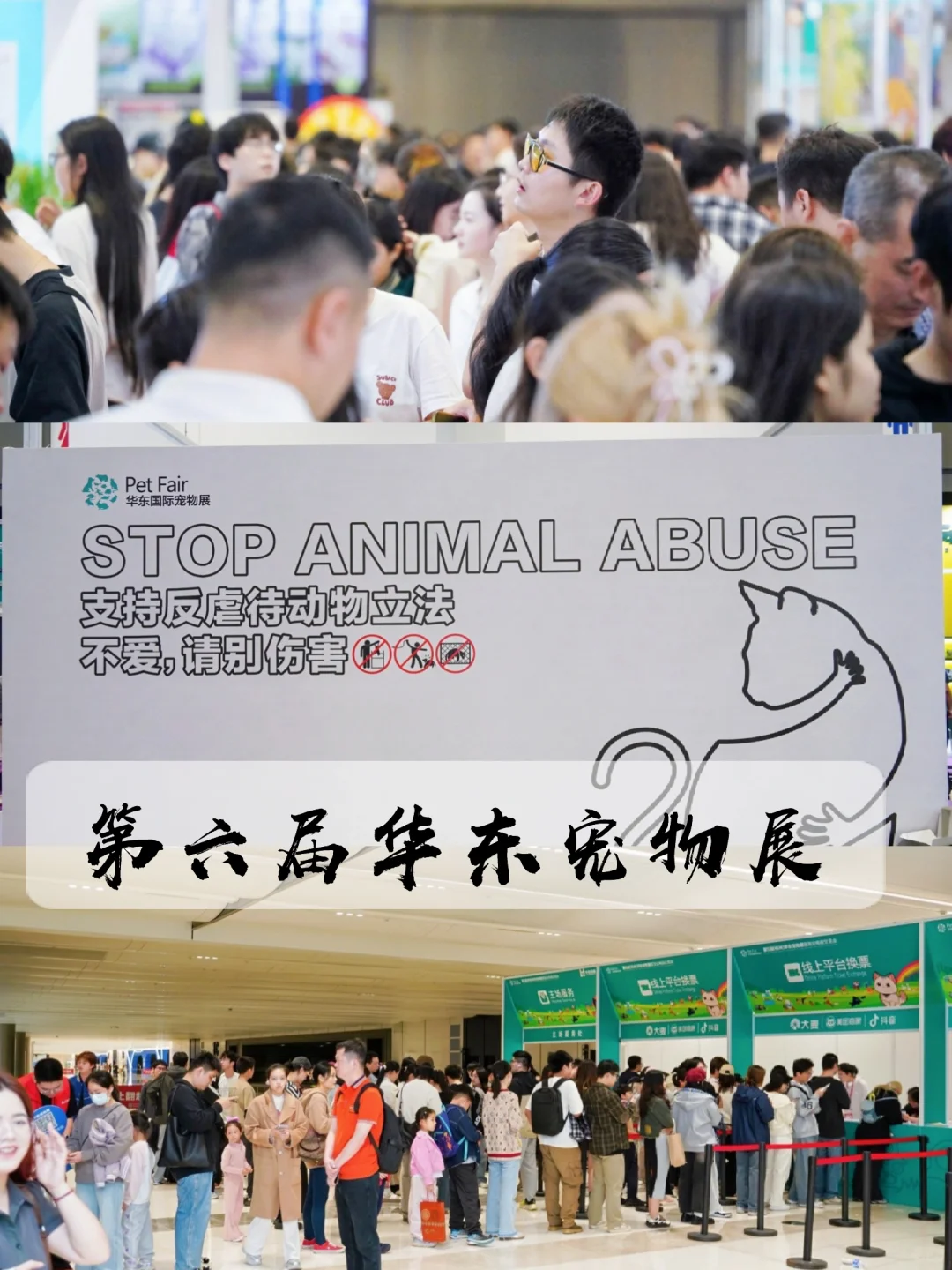 杭州宠展天花板！第6届华东宠物展冲鸭