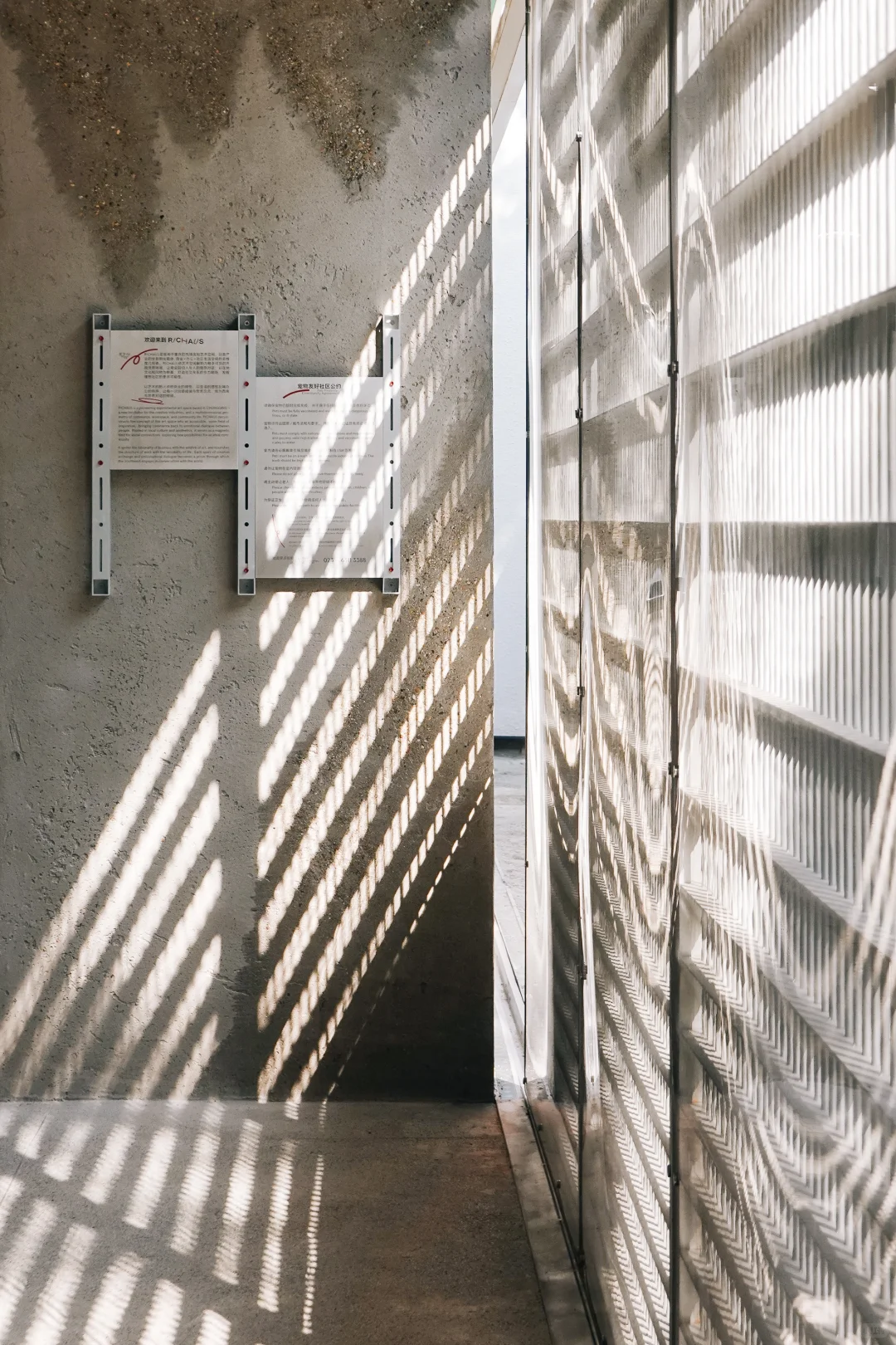 重庆|有好容器,才有好内容