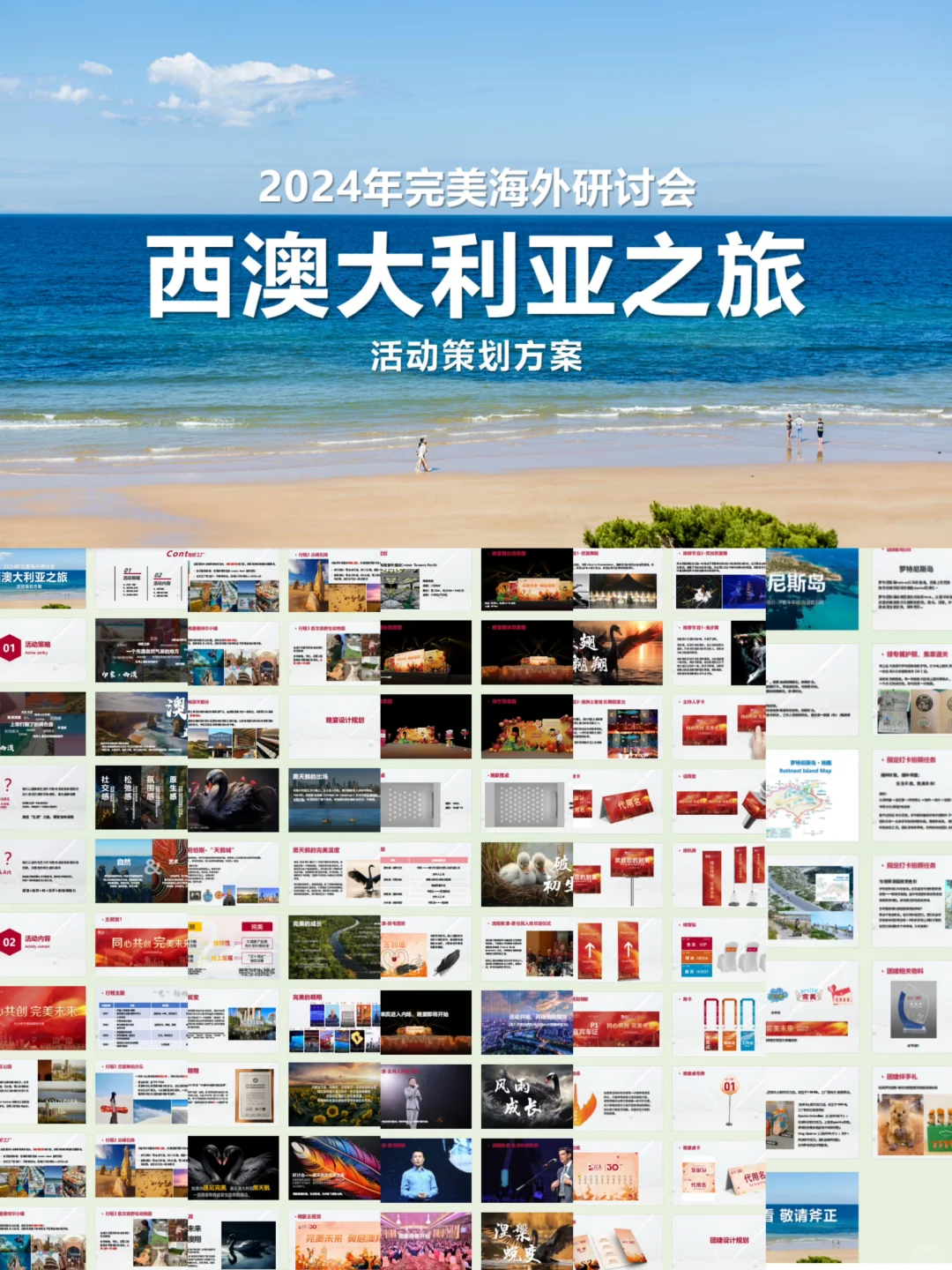 会展MICE ｜ 海外策划的项目落地啦