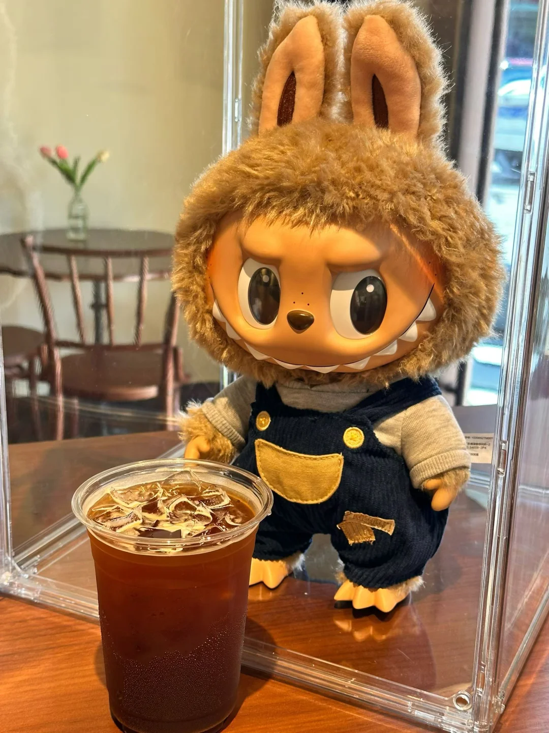 钦州labubu为您服务