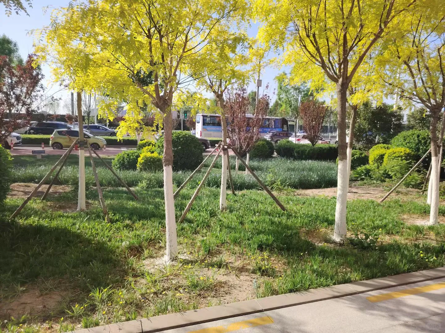 天津 志愿者 马拉松活动来咯！！