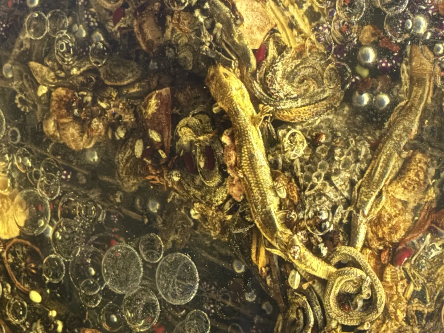 设计上海2025完美闭幕