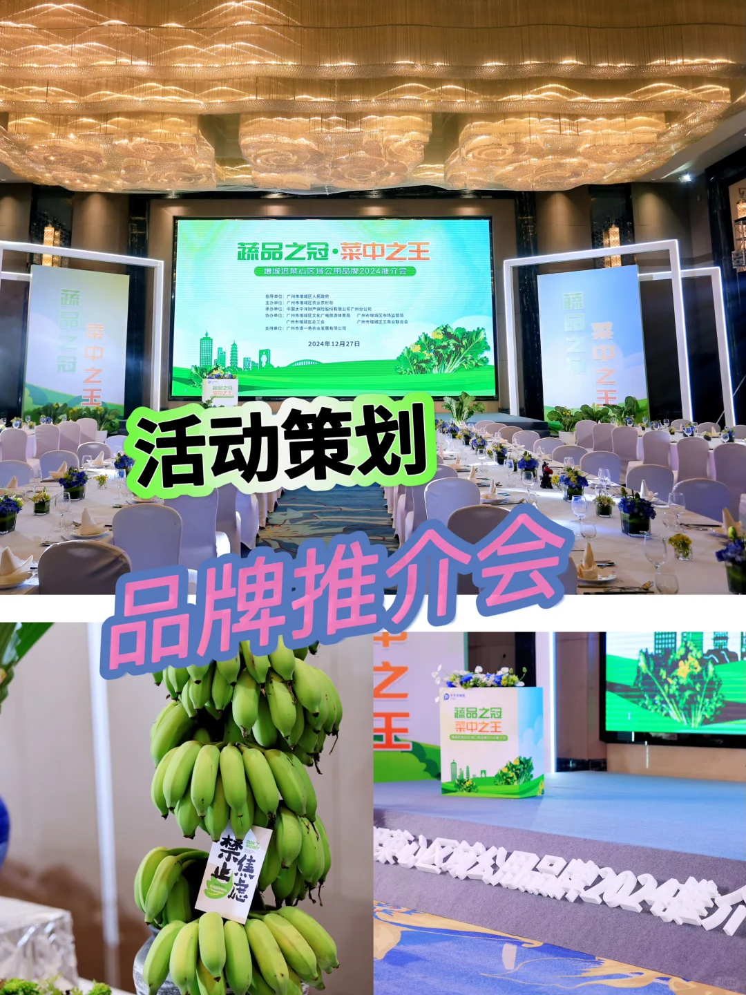 活动策划｜破解出圈的一场推介会