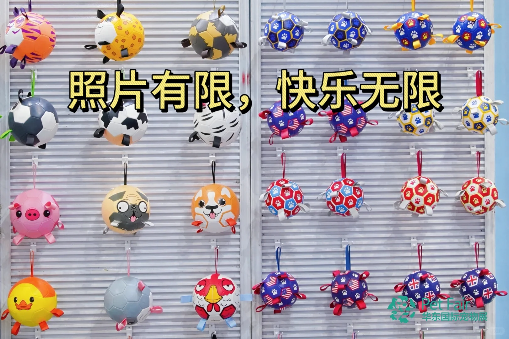 【毛孩子狂欢季】第六届华东宠物展