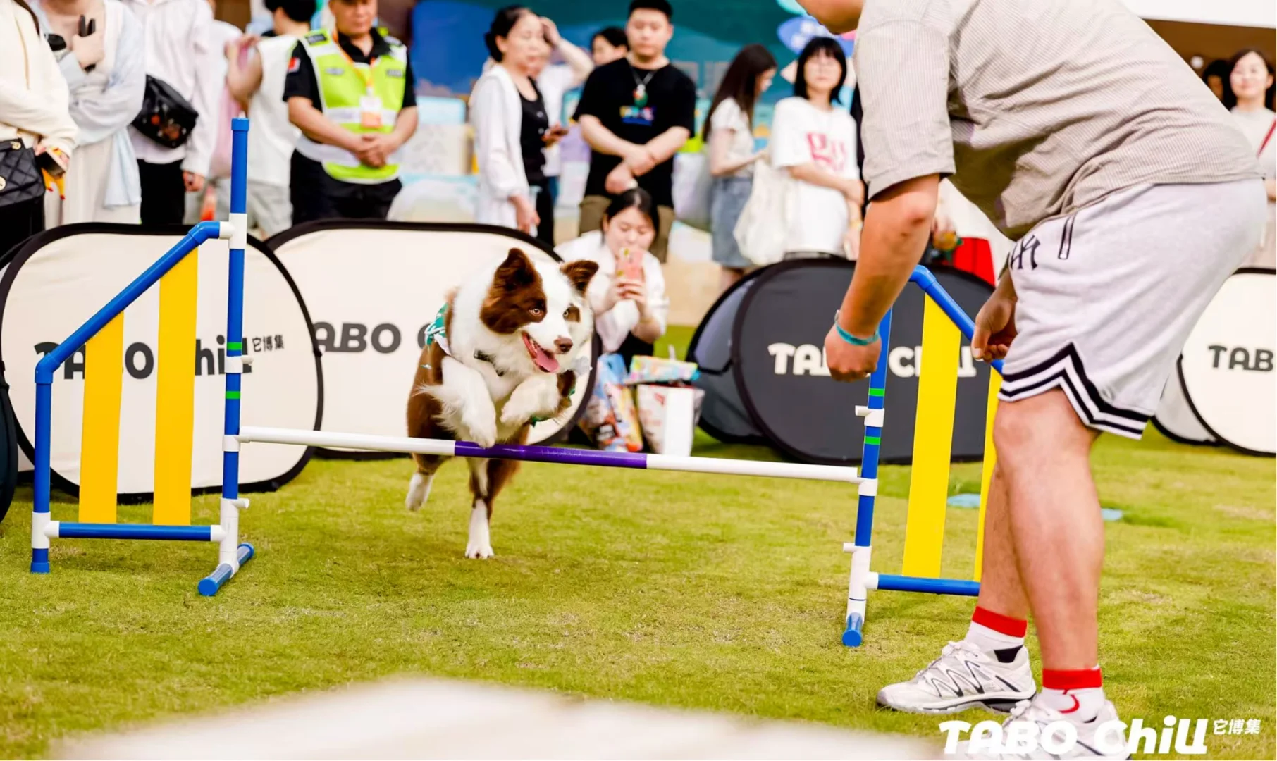 ? 它博集上海站即将开始 老规矩?*5