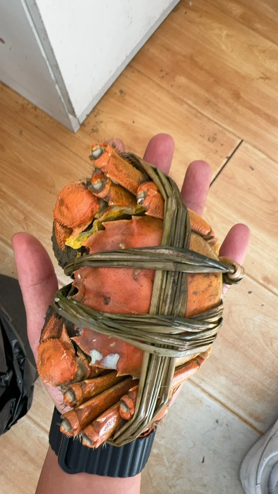 仙林湖大闸蟹团购群成立啦！！！