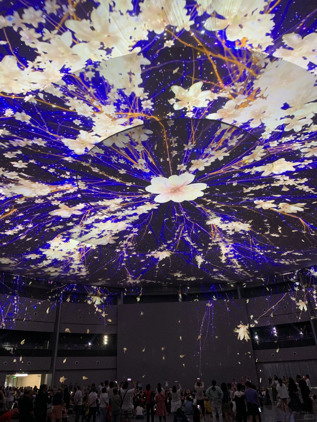 2025上海光影节|西岸梦中心超值的20分钟❤️