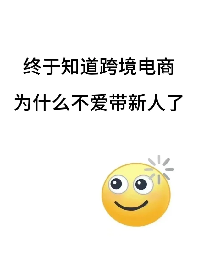 终于知道跨境电商为什么不爱带新人了