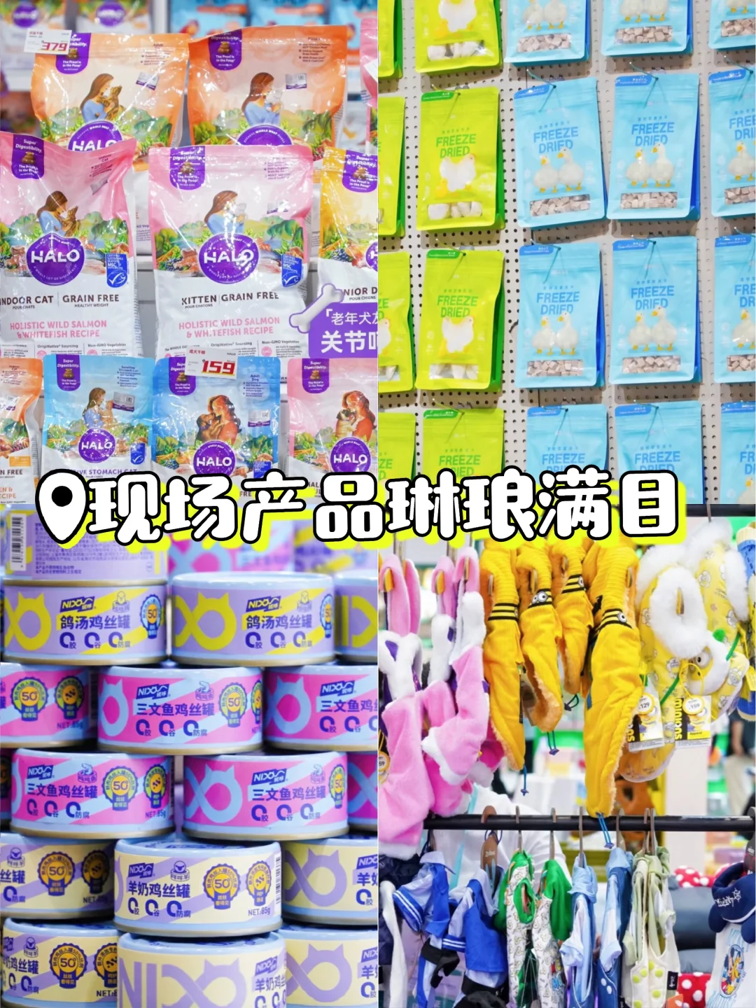 杭州宠展天花板！第6届华东宠物展冲鸭