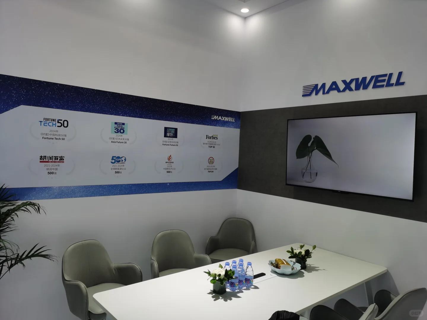 2025湾芯展，迈为、微导中型展台实景展示！