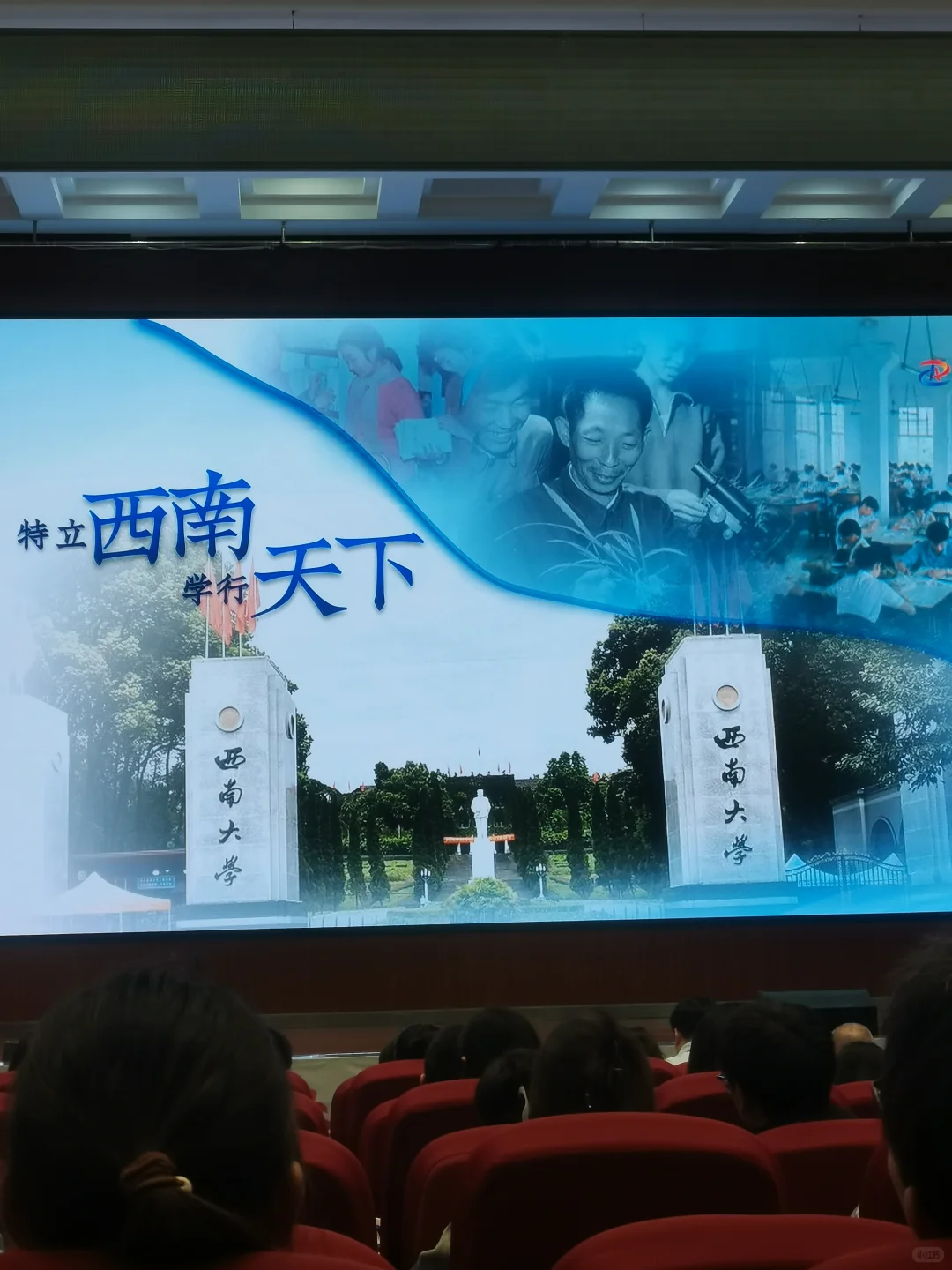 盐都自贡在西南大学圆顶报告厅招聘人才！