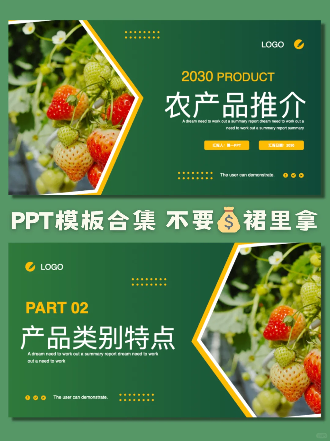 超实用的农产品推介PPT模板