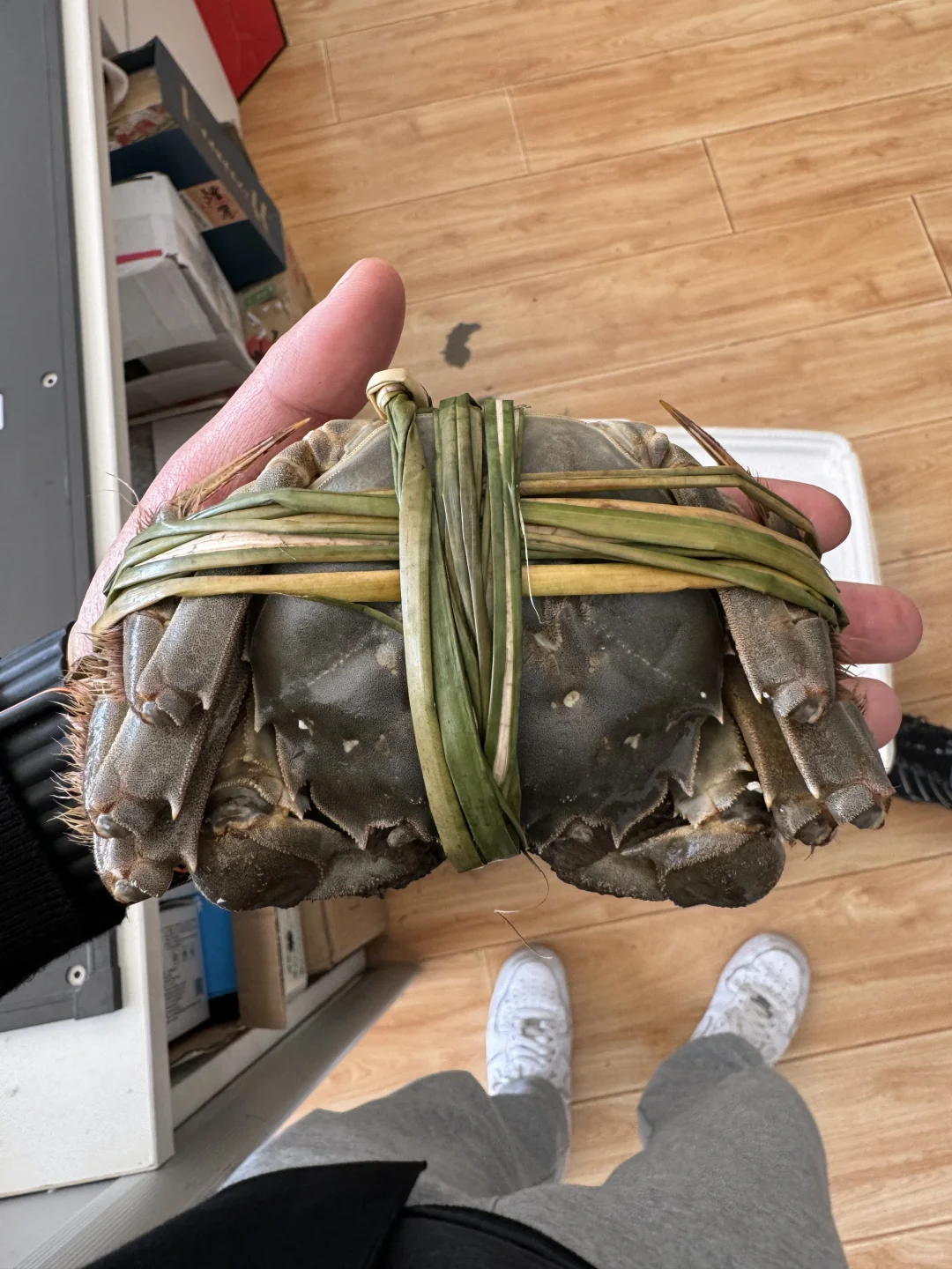 仙林湖大闸蟹团购群成立啦！！！