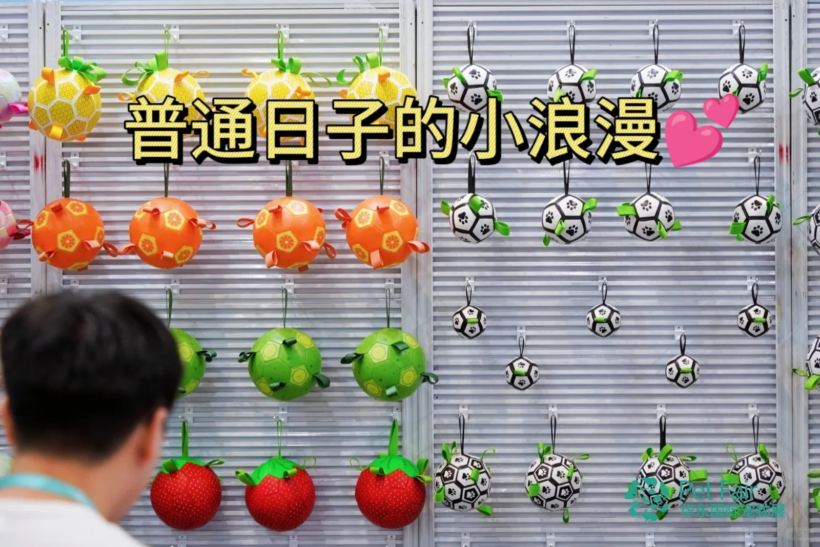 【毛孩子狂欢季】第六届华东宠物展