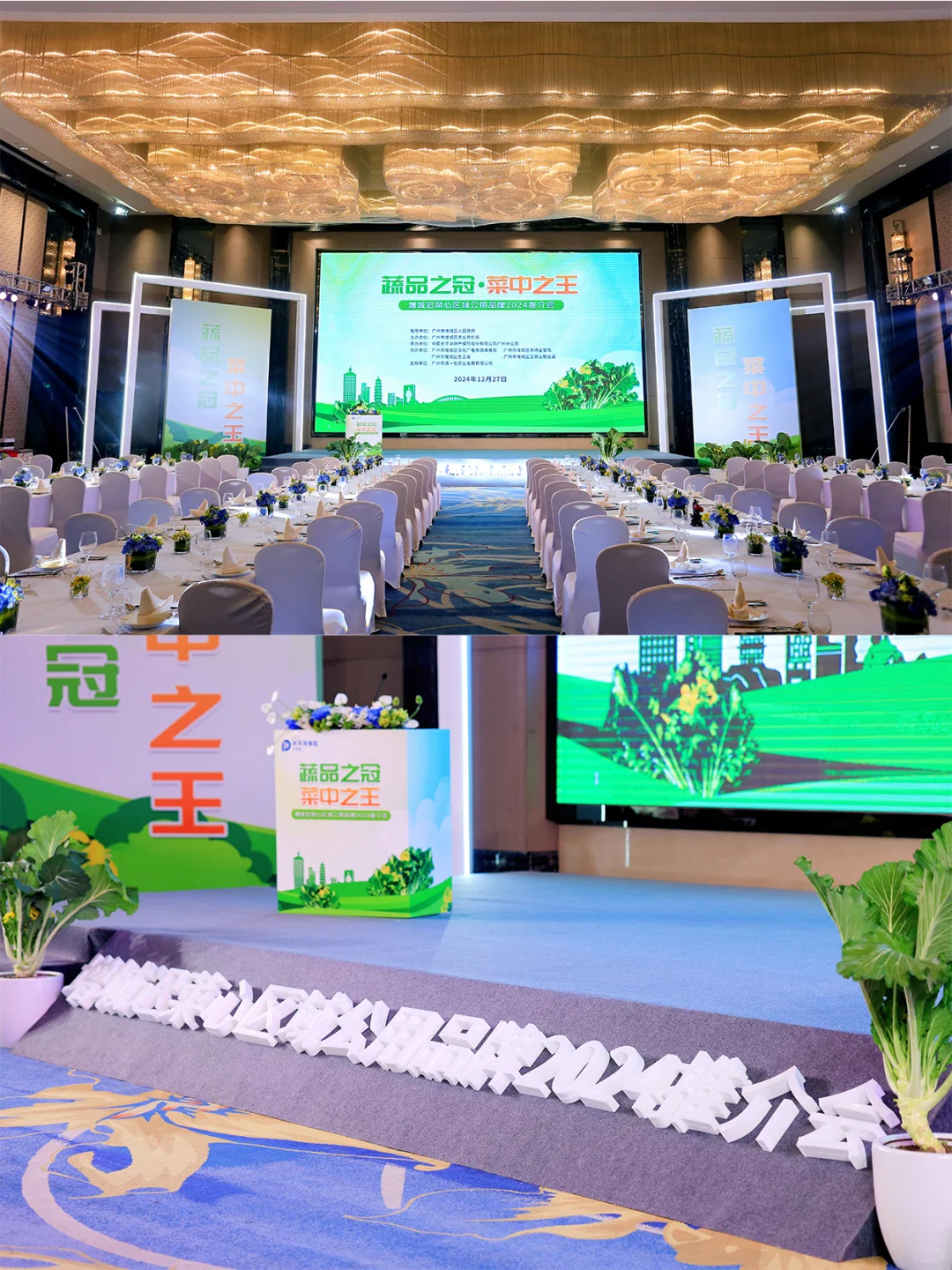 活动策划｜破解出圈的一场推介会