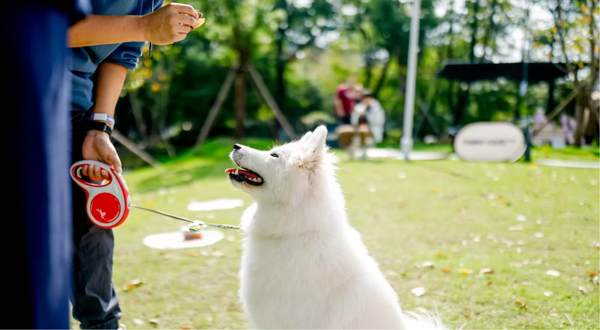? 它博集上海站即将开始 老规矩?*5