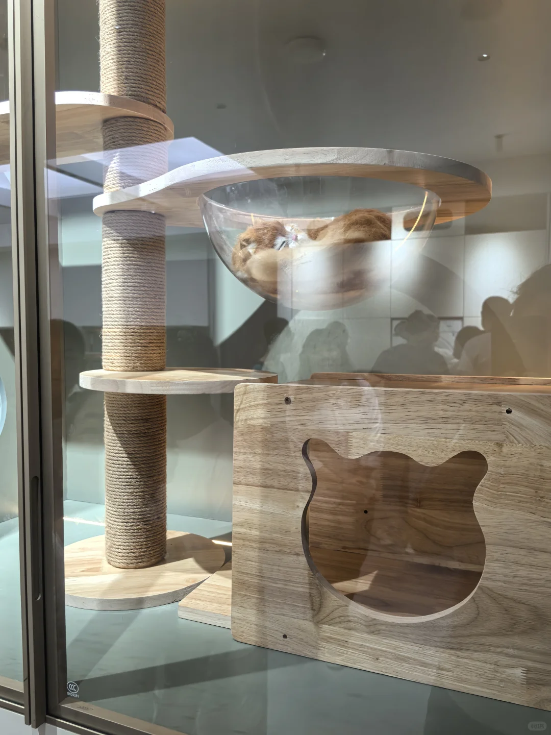 智博会就像一个大科技馆