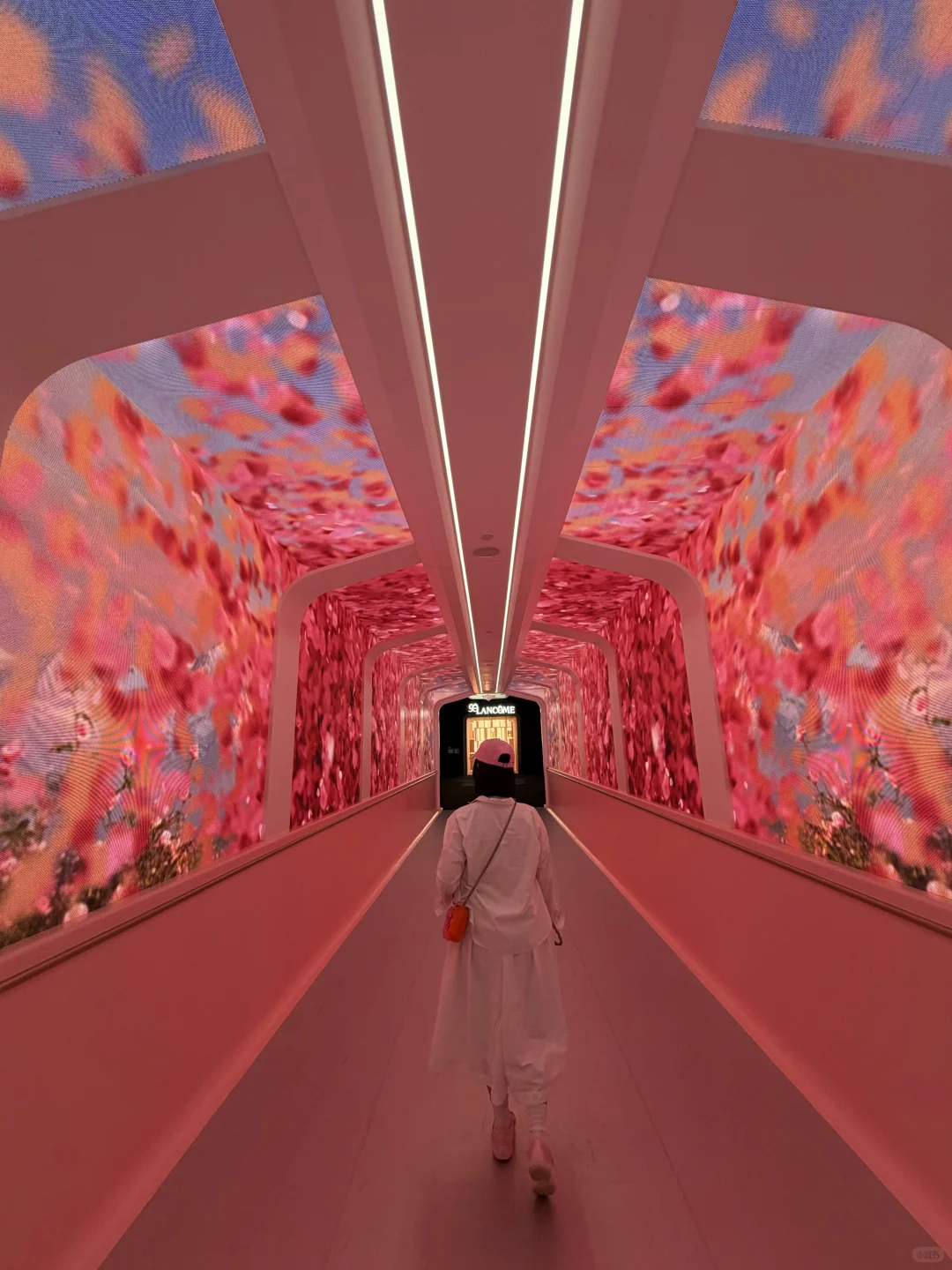 上海！！近期值得一看的4个新展览！！