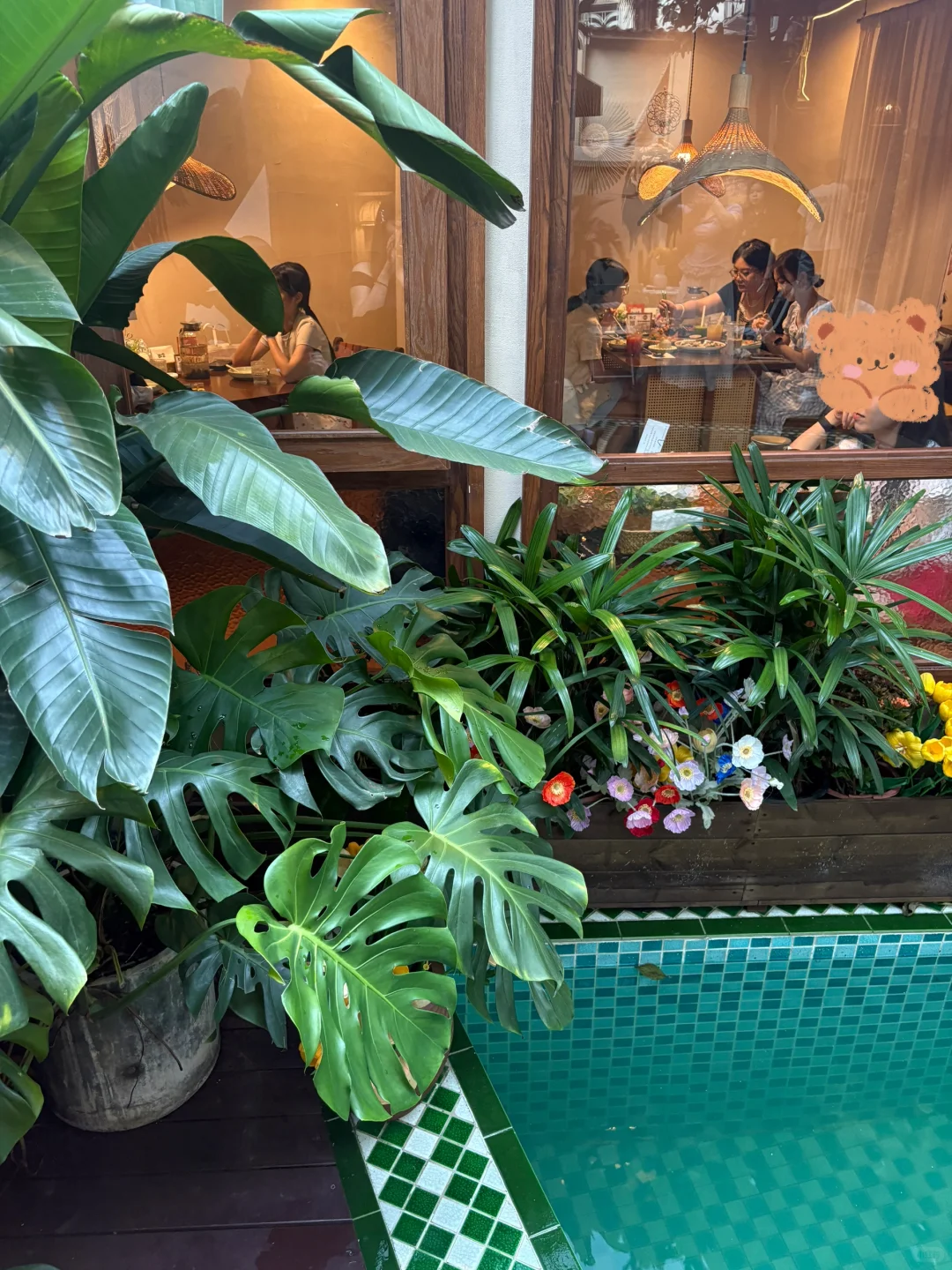 长沙大学城|带独立泳池庭院的漂亮饭❗️❗️