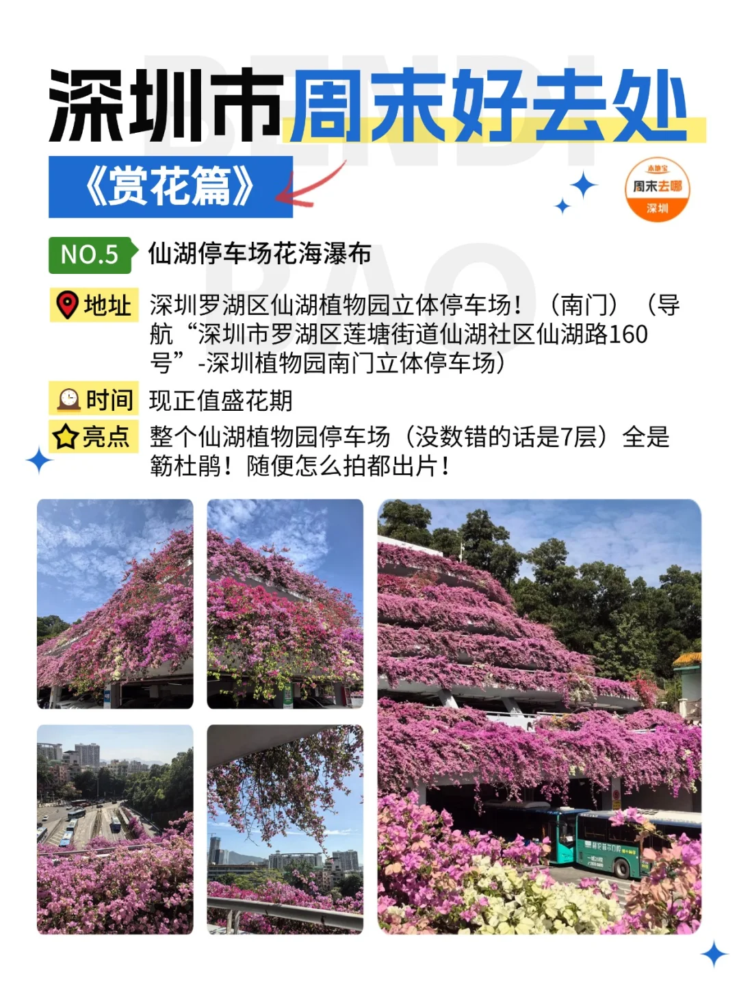 深圳这个周末能做的25件事‼️好多免费