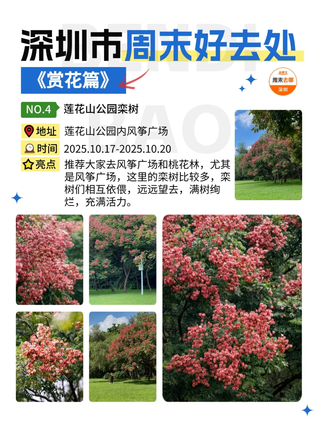 深圳这个周末能做的25件事‼️好多免费