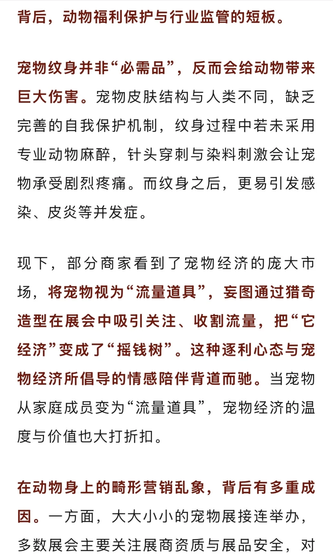 关于亚宠展纹身小狗，半月谈有话说