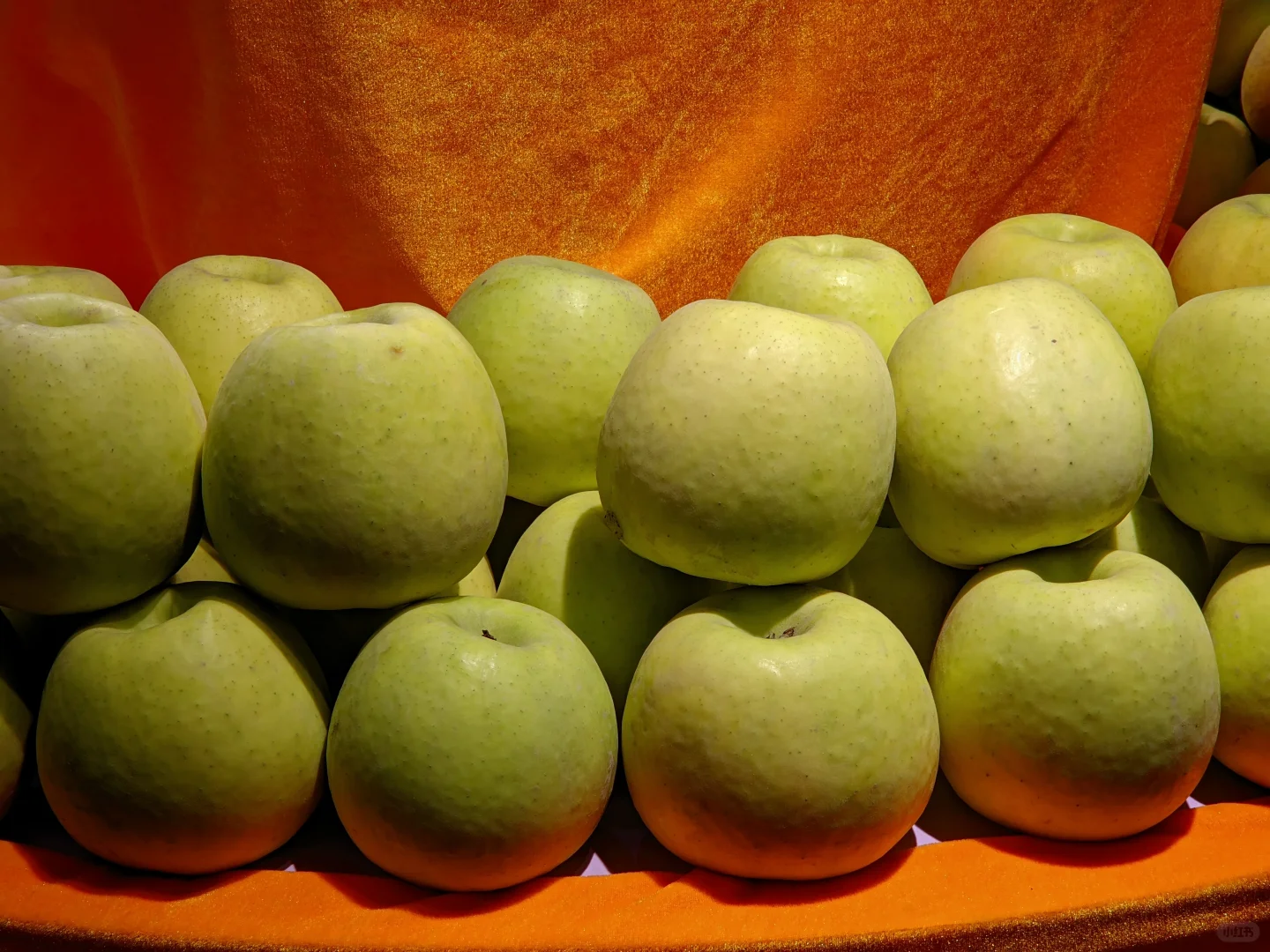 第11届阿克苏果品展销会